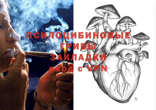 гидропоника Елабуга