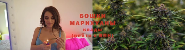 прущая мука Ельня