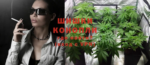 прущая мука Ельня